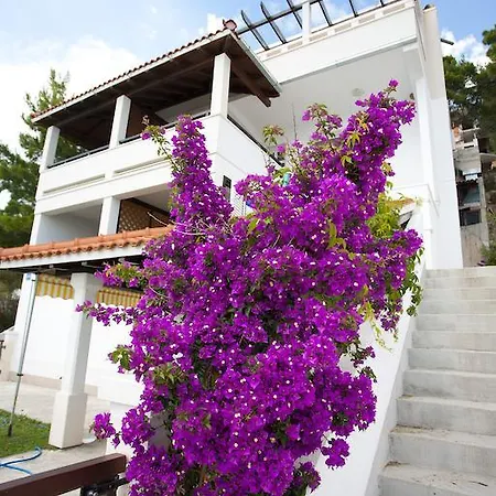 Apartments Fani Brela Exteriér fotografie